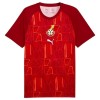 Virallinen pelipaita Ghana Pre-Match MM-kisat 2026 Lyhythihainen - Miesten Virallinen pelipaita Ghana Pre-Match MM-kisat 2026 Lyhythihainen - Miesten