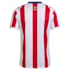 Virallinen pelipaita Chivas de CD Guadalajara 120th Vuosipäivä 2025-26 Lyhythihainen - Miesten