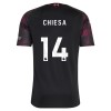 Virallinen pelipaita Liverpool Chiesa 14 Kolmas 2026-27 Lyhythihainen - Miesten Virallinen pelipaita Liverpool Chiesa 14 Kolmas 2026-27 Lyhythihainen - Miesten